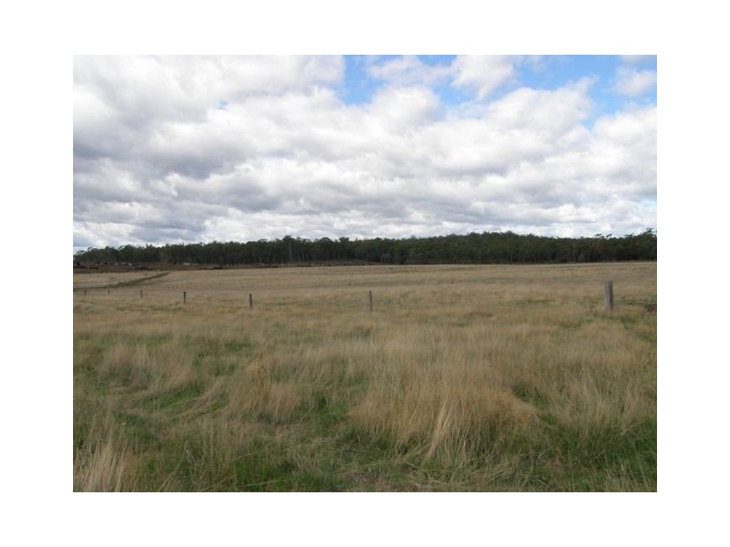 . Bridport Rd, Bridport TAS 7262