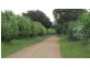 990 Pateena Rd, Longford TAS 7301