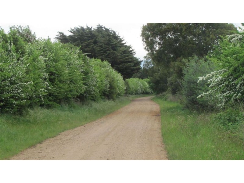 990 Pateena Rd, Longford TAS 7301