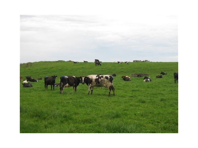 360 Ransons Road, Lileah TAS 7330