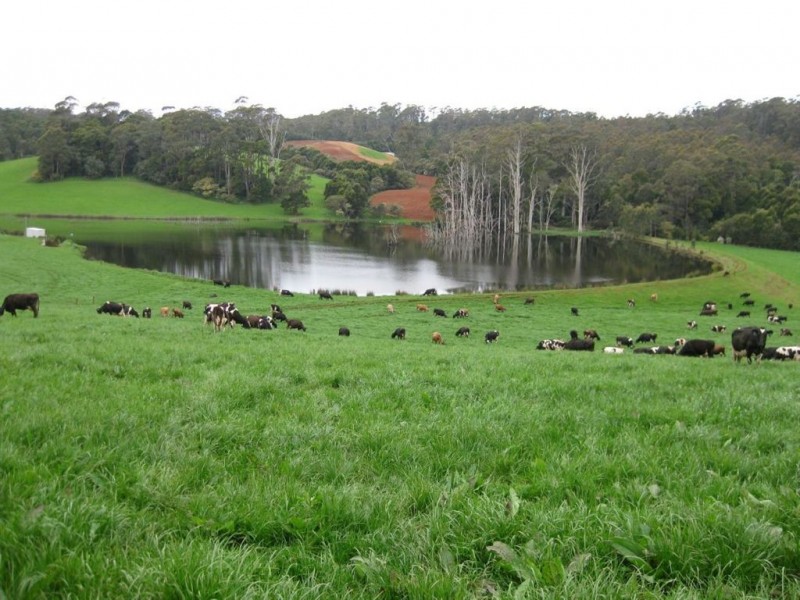 137 Ralstons Road, Nabageena TAS 7330