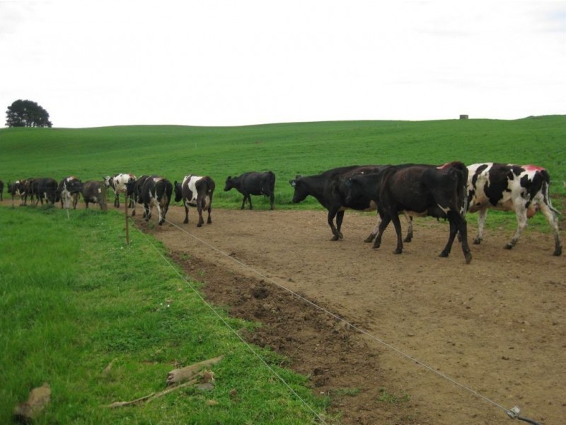 137 Ralstons Road, Nabageena TAS 7330