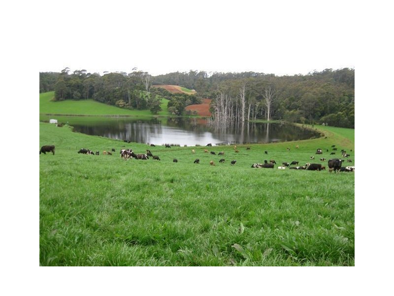 137 Ralstons Road, Nabageena TAS 7330