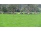 1362 Liffey Rd, Liffey TAS 7301