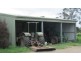 1362 Liffey Rd, Liffey TAS 7301