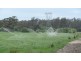 1362 Liffey Rd, Liffey TAS 7301