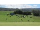 57 North Lilydale Road, Lilydale TAS 7268