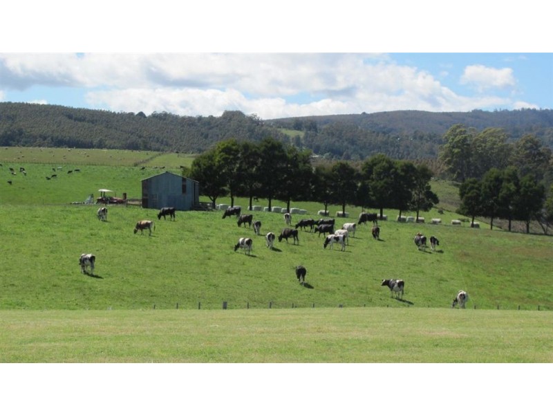 57 North Lilydale Road, Lilydale TAS 7268