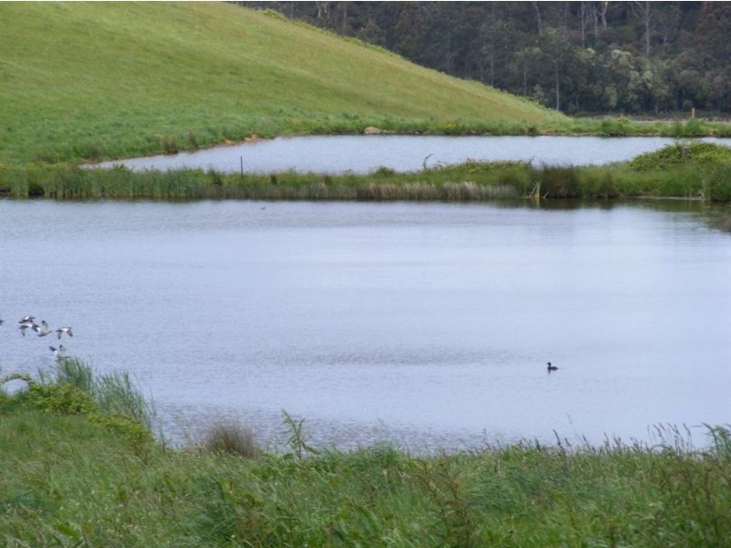 . Clarkes Road, South Riana TAS 7316