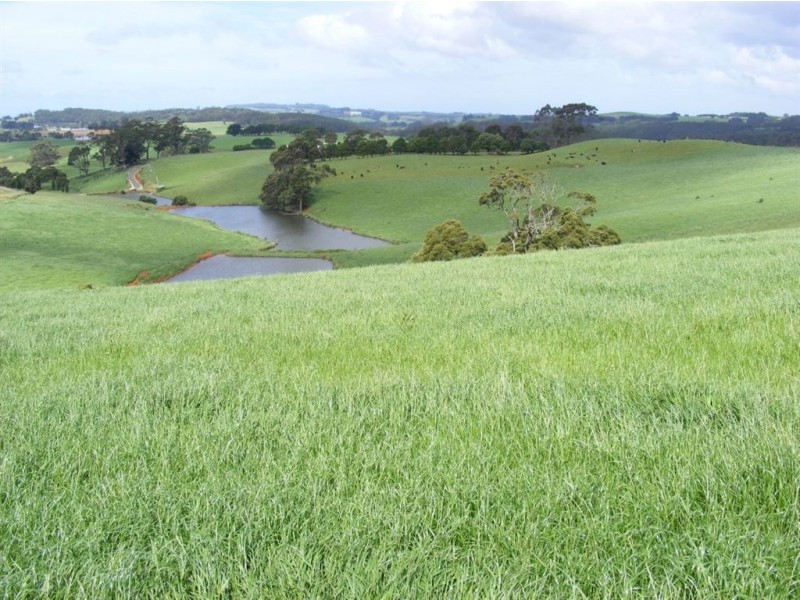 17831 Bass Highway, Sisters Creek TAS 7325