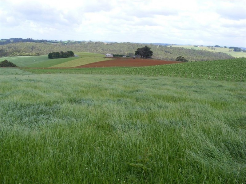 17831 Bass Highway, Sisters Creek TAS 7325