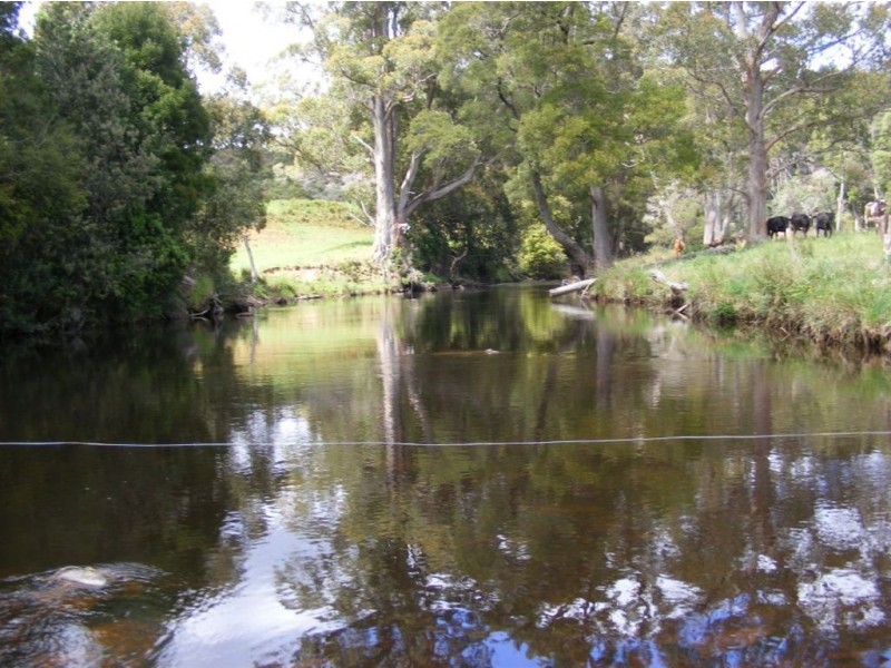 810 Preolenna Rd, Moorleah TAS 7325
