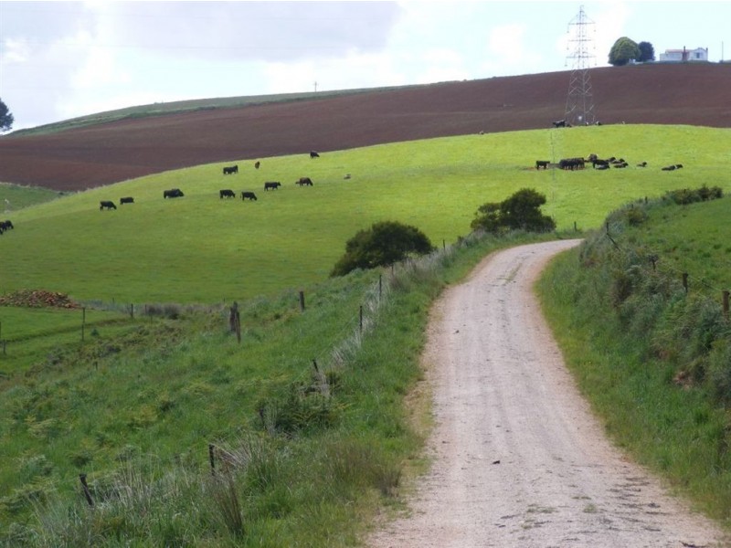 810 Preolenna Rd, Moorleah TAS 7325