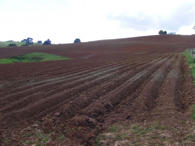 810 Preolenna Rd, Moorleah TAS 7325