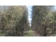 . Muskvale Rd, George Town TAS 7253