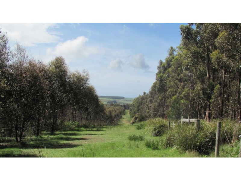 . Muskvale Rd, George Town TAS 7253