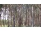 . Muskvale Rd, George Town TAS 7253