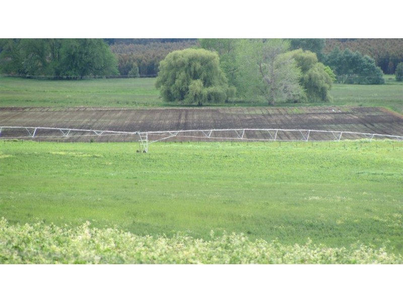 4357 Meander Valley Rd, Deloraine TAS 7304