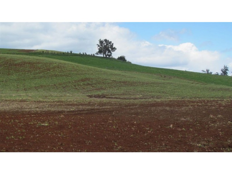 4357 Meander Valley Rd, Deloraine TAS 7304