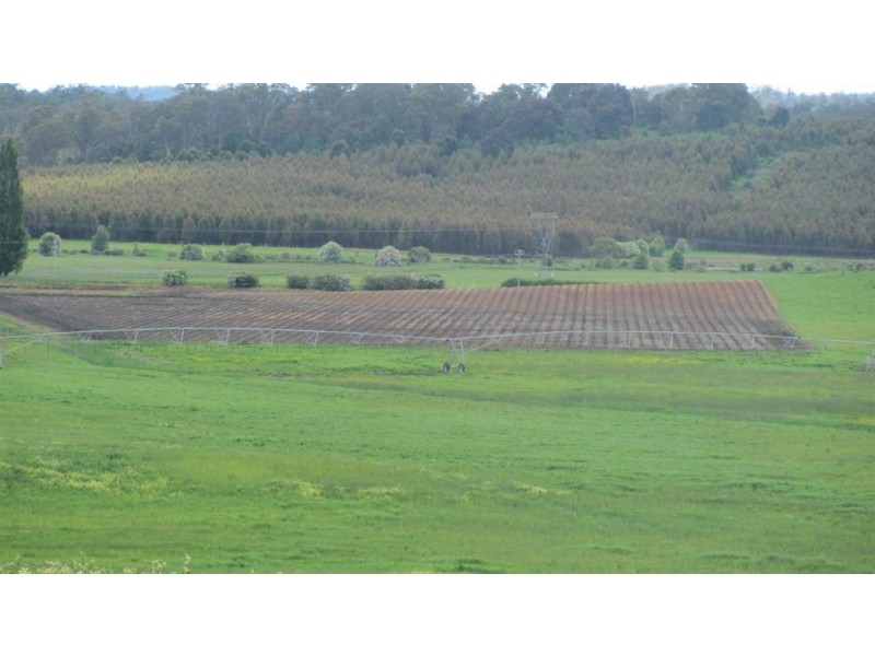 4357 Meander Valley Rd, Deloraine TAS 7304