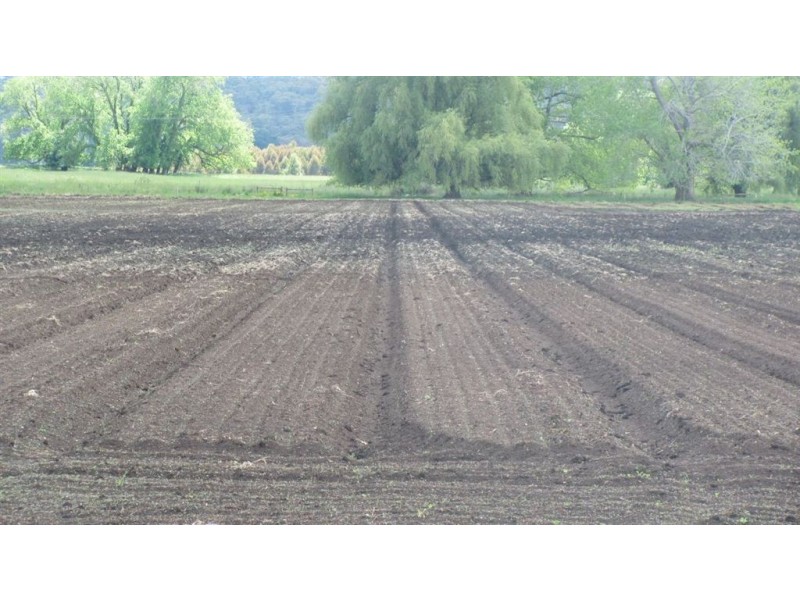 4357 Meander Valley Rd, Deloraine TAS 7304