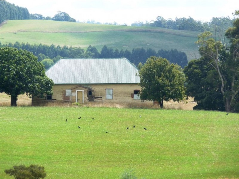 157 Scotts Road, Mole Creek TAS 7304