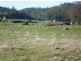 157 Scotts Road, Mole Creek TAS 7304