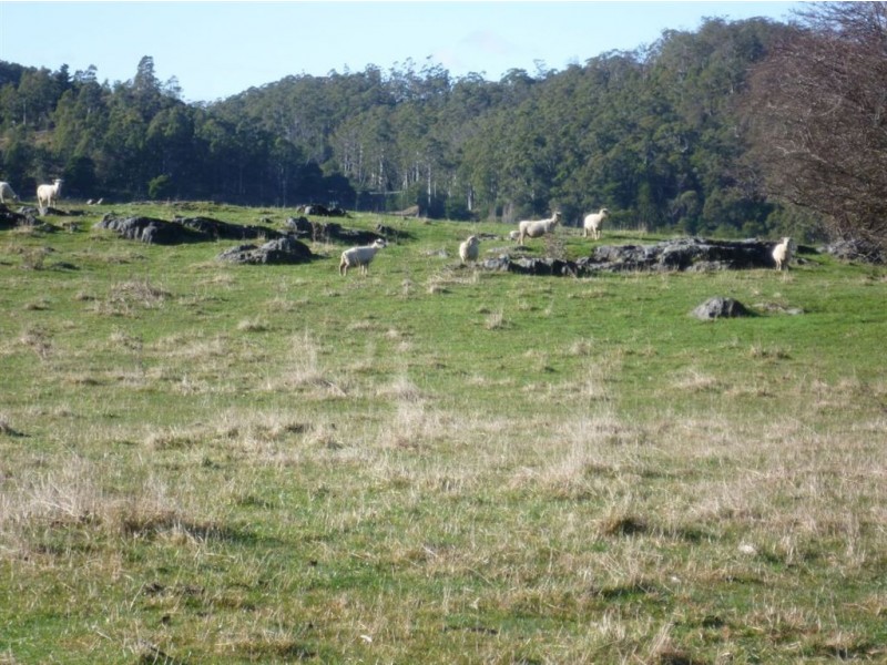 157 Scotts Road, Mole Creek TAS 7304