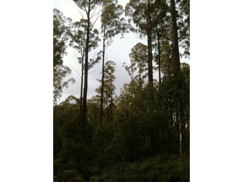 - Lyell Hwy, Ouse TAS 7140