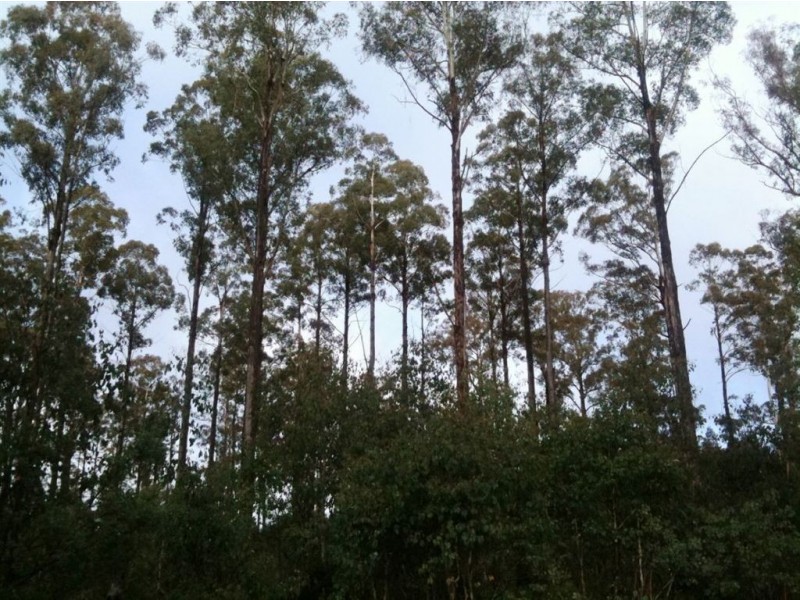 - Lyell Hwy, Ouse TAS 7140