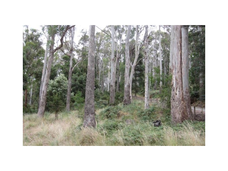 1345 Railton Road, Kimberley TAS 7304