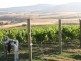 1211 Glenora Rd, Plenty TAS 7140