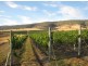 1211 Glenora Rd, Plenty TAS 7140