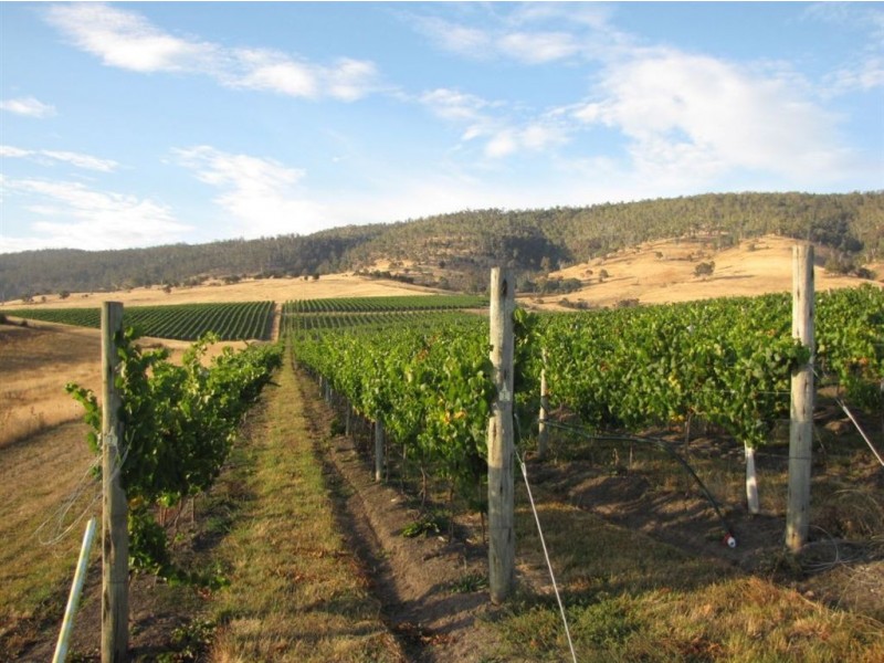 1211 Glenora Rd, Plenty TAS 7140