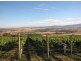 1211 Glenora Rd, Plenty TAS 7140