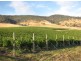 1211 Glenora Rd, Plenty TAS 7140