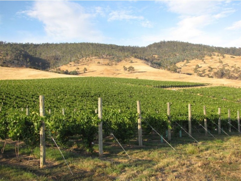 1211 Glenora Rd, Plenty TAS 7140