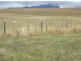135 Barrington Road, Barrington TAS 7306