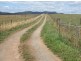 135 Barrington Road, Barrington TAS 7306
