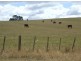 135 Barrington Road, Barrington TAS 7306