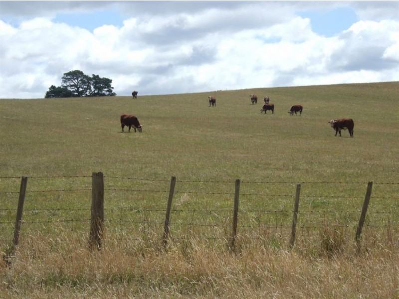 135 Barrington Road, Barrington TAS 7306