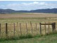 135 Barrington Road, Barrington TAS 7306