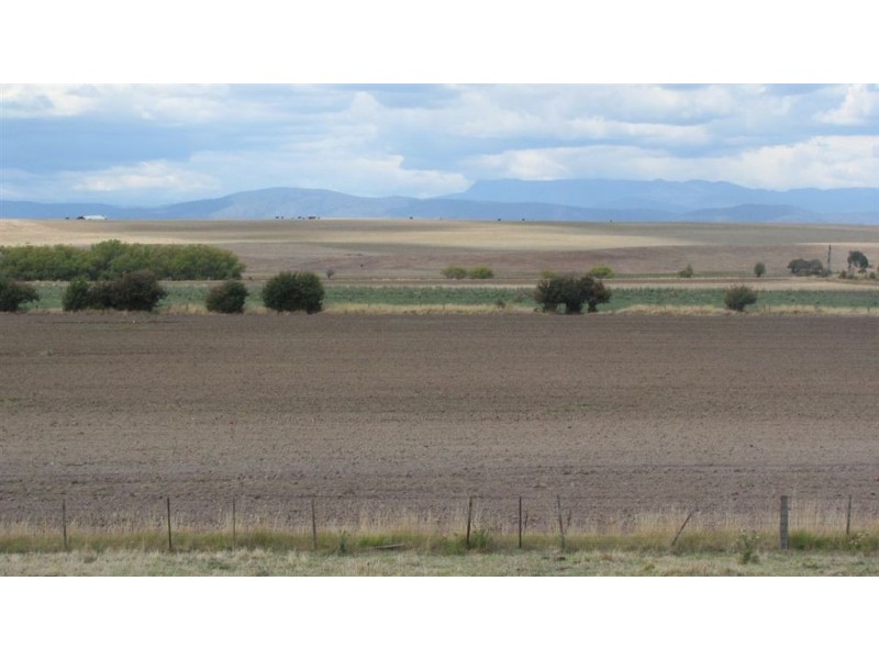 123A Wellington St, Longford TAS 7301