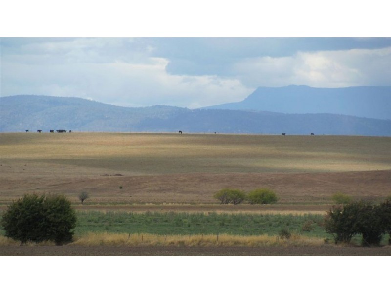 123A Wellington St, Longford TAS 7301