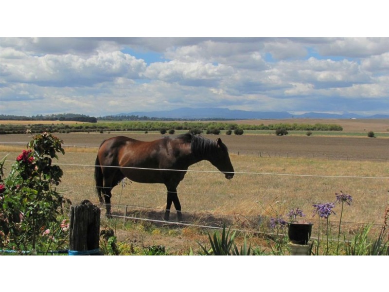 123A Wellington St, Longford TAS 7301