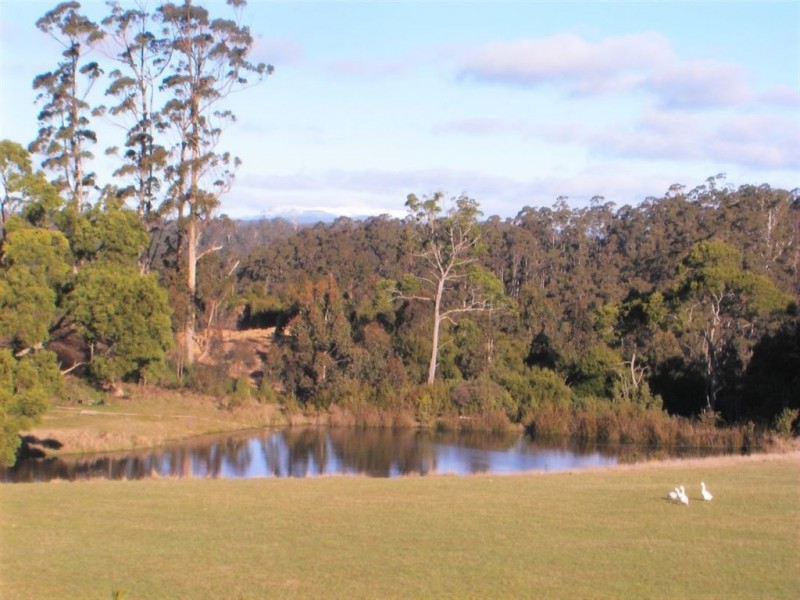410 East Yolla Road, Yolla TAS 7325