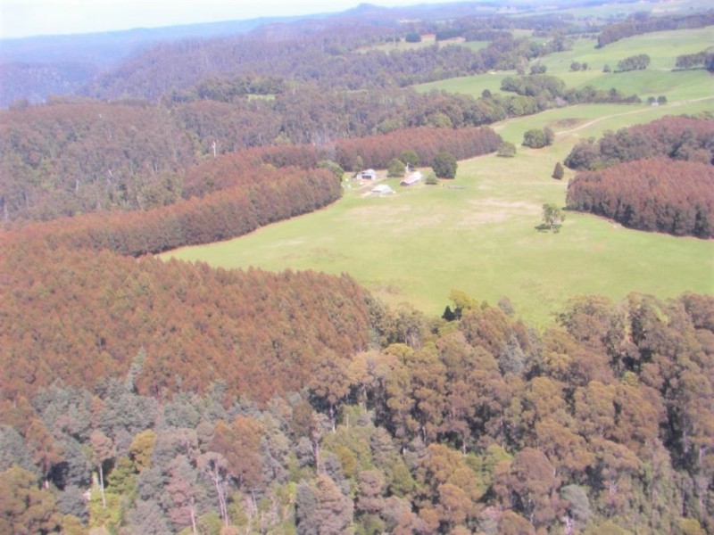 410 East Yolla Road, Yolla TAS 7325