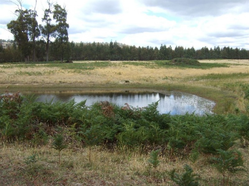 759 Tin Pot Marsh Road, Stonehenge TAS 7120