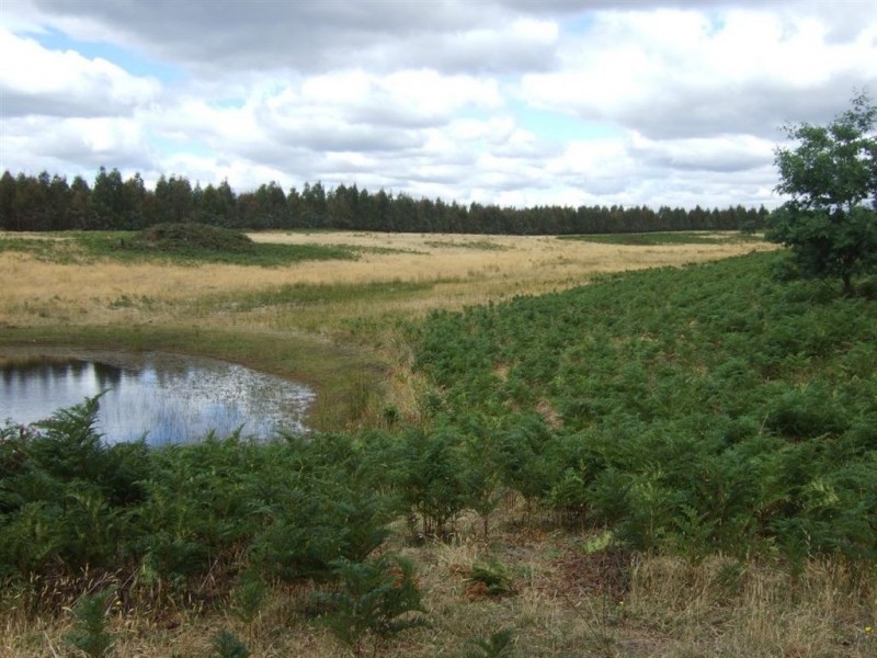 759 Tin Pot Marsh Road, Stonehenge TAS 7120