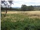 759 Tin Pot Marsh Road, Stonehenge TAS 7120